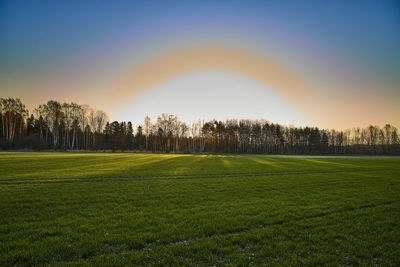 Scenic view of field against sky during sunset