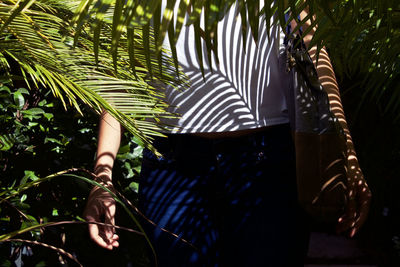 Midsection of woman with shadow standing amidst palm tree