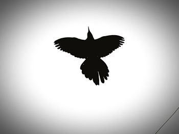 Low angle view of tree against sky