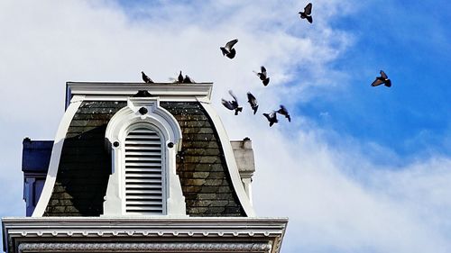 Low angle view of birds flying against cloudy sky