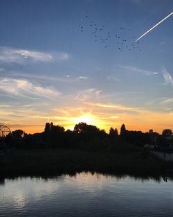 Silhouette trees against sky during sunset