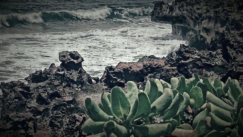 Rocks in sea