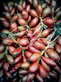 Full frame shot of carrots