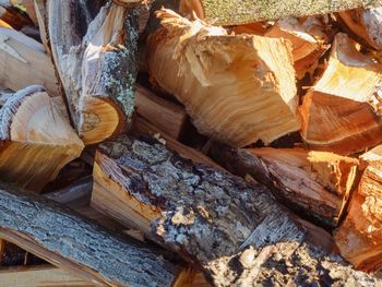 Full frame shot of log