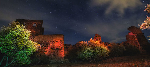 Low angle view of trees against sky at night