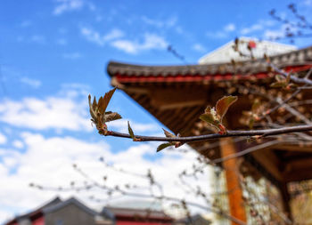 Low angle view of building against sky