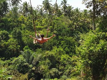 Rear view of man sitting on swing over trees in forest