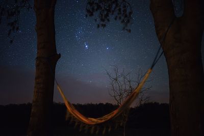 Scenic view of trees at night