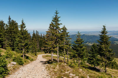 Scenic view of landscape against clear blue sky