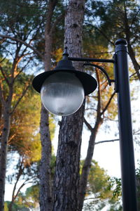 Low angle view of street light against trees