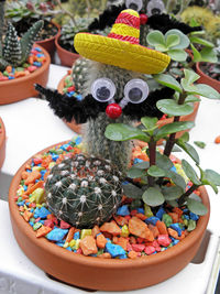 Close-up of cactus potted plant art at park