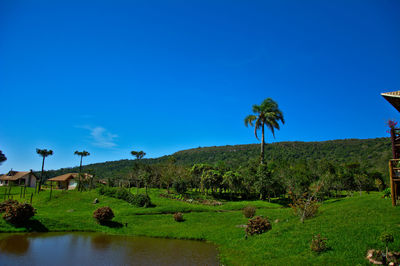 Scenic view of landscape against clear blue sky