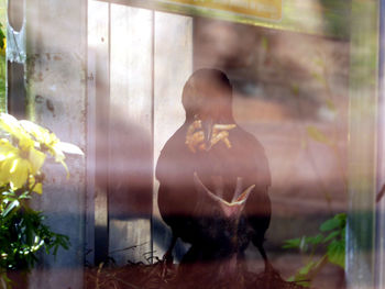 Rear view of female sculpture against glass window