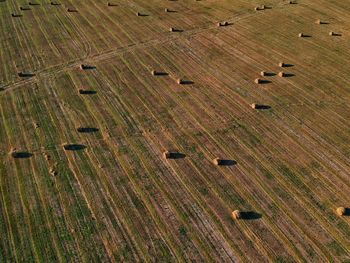 Full frame shot of agricultural field