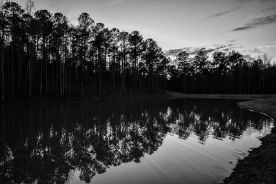 Reflection of trees in lake against sky