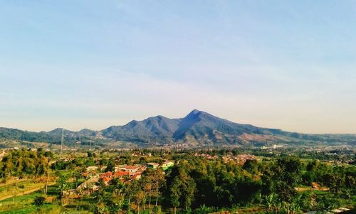 Scenic view of landscape against sky