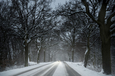 Road amidst bare trees during winter