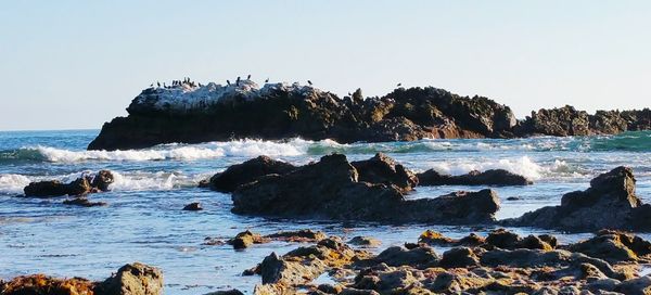 Scenic view of rocks in sea against clear sky