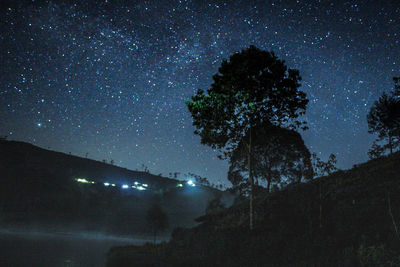 Low angle view of silhouette trees against sky at night