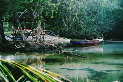 Boats moored in lake against trees