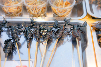 Close-up of fish for sale