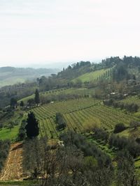 Scenic view of grassy field against sky