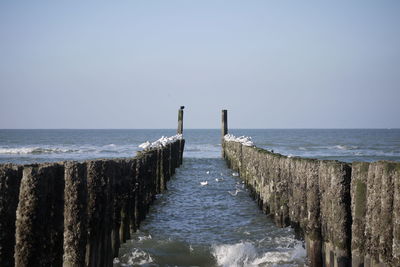 Scenic view of sea against clear sky