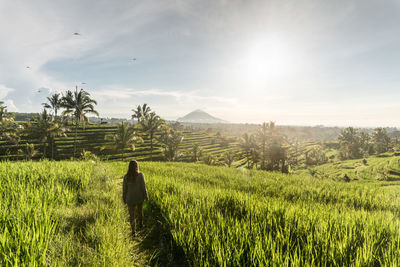 Rear view of man on field against sky