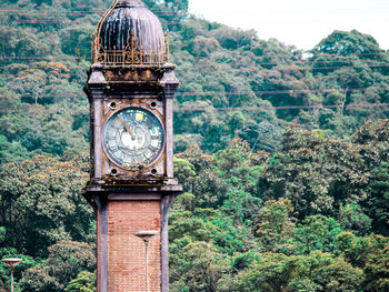 Close-up of clock against trees