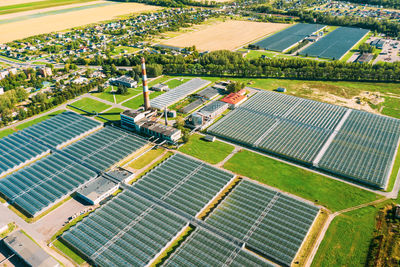 High angle view of plants growing on field