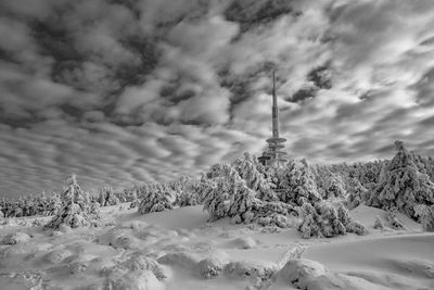 Snow covered land and trees against sky