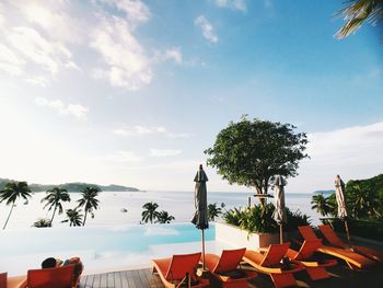 Palm trees by swimming pool against sky