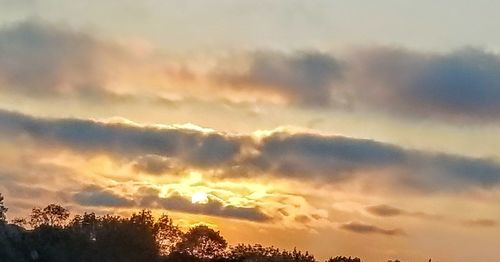 Low angle view of trees against sky at sunset