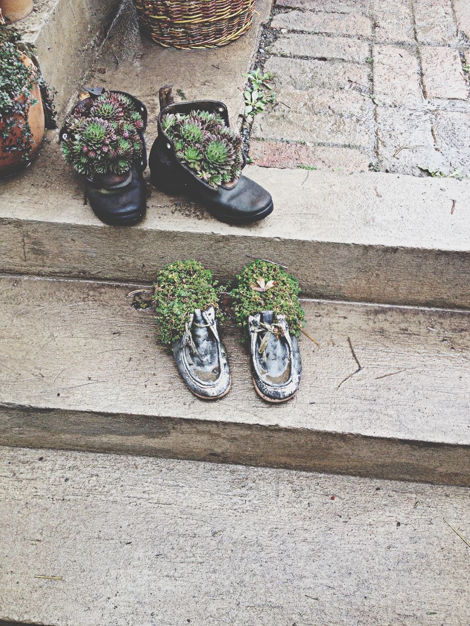 high angle view, potted plant, wall - building feature, cobblestone, paving stone, sidewalk, plant, day, outdoors, footpath, bicycle, street, shoe, wall, no people, sunlight, pavement, directly above, flooring, tiled floor