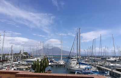 Sailboats moored at harbor