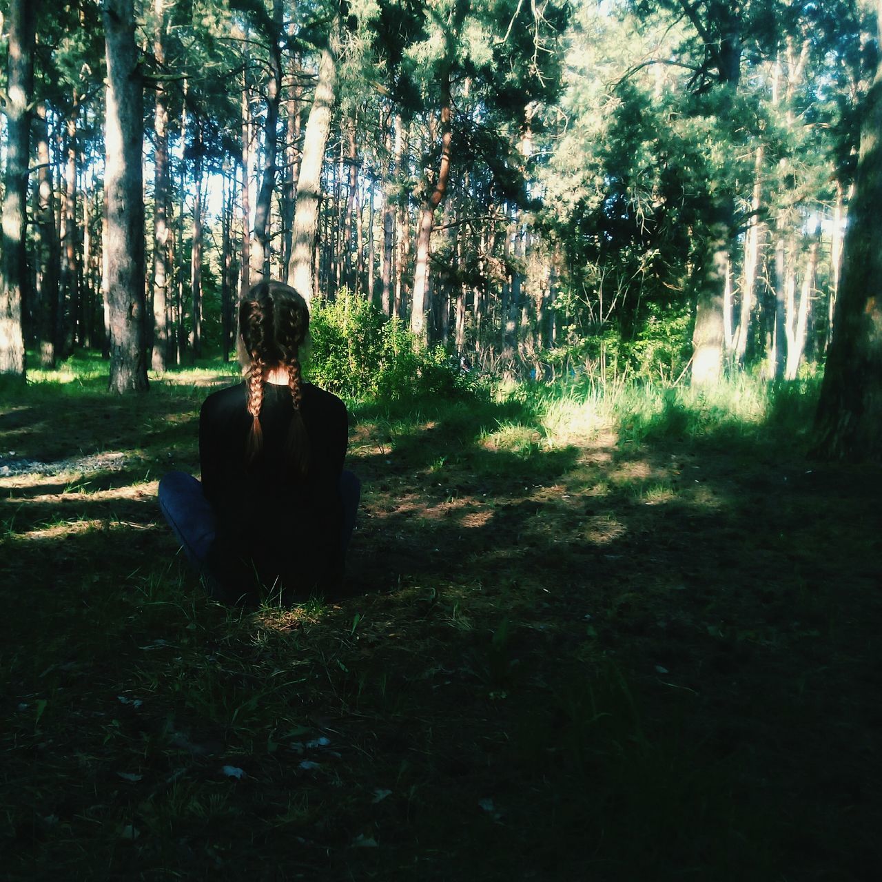 tree, lifestyles, leisure activity, tree trunk, sitting, rear view, forest, tranquility, grass, nature, men, growth, standing, relaxation, field, dog, full length, person