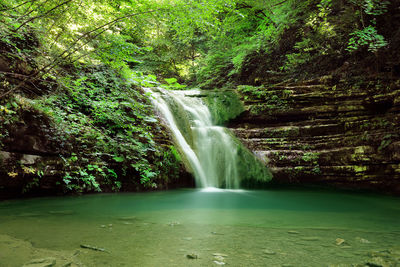 Scenic view of waterfall in forest