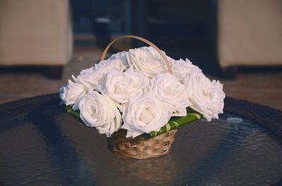 Close-up of white rose