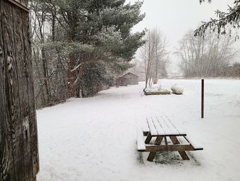 Empty bench on snow covered field