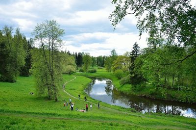 Scenic view of green landscape against sky