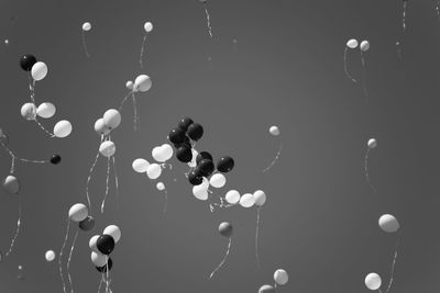 Low angle view of balloons against sky