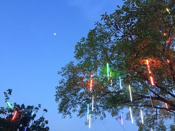 Low angle view of trees against clear sky at night