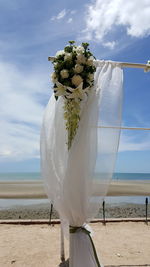 White flowers on sand at beach against sky