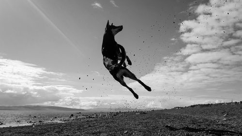 View of jumping over sea