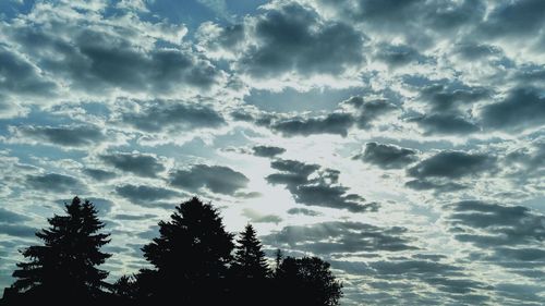 Low angle view of trees against cloudy sky