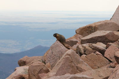 Scenic view of sea by mountain against sky