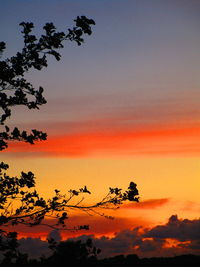 Low angle view of silhouette trees against romantic sky