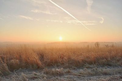 Scenic view of grassy field against sky during sunset