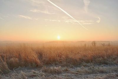 Scenic view of grassy field against sky during sunset