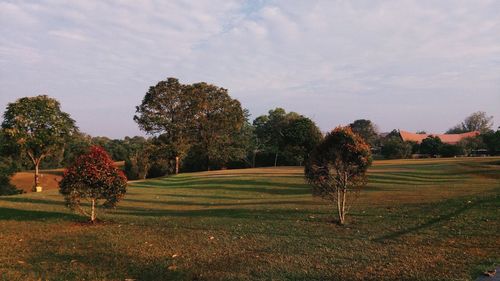 A wide golf field surroubded by trees